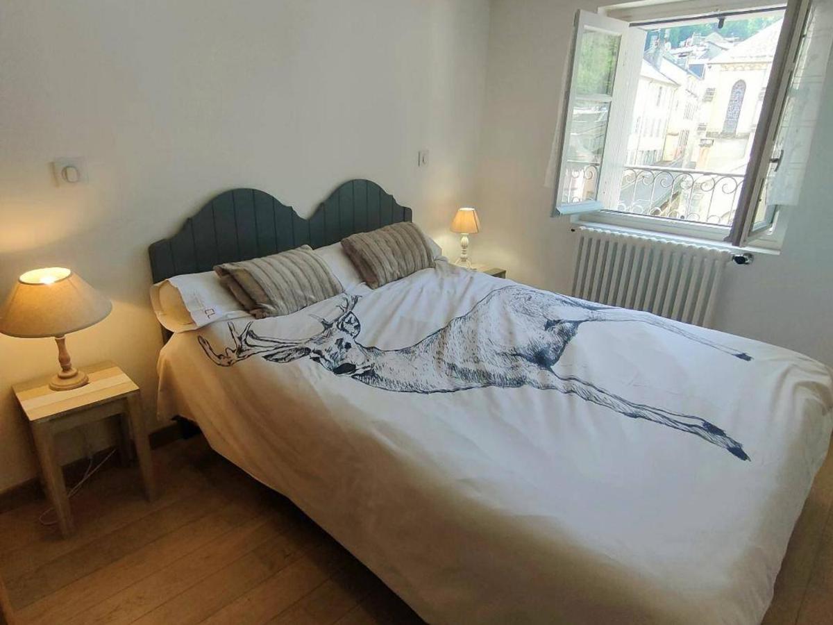 Appartement 3 Pieces A Cauterets, Proche Thermes Et Telecabine, Avec Wifi Et Parking - Fr-1-234-144 ภายนอก รูปภาพ